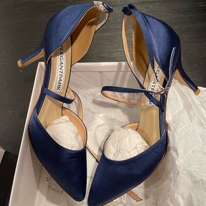 Elegant-Park Women Pointed Toe High Heel Pump Strap Satin Shoes 3in Heels Size 9